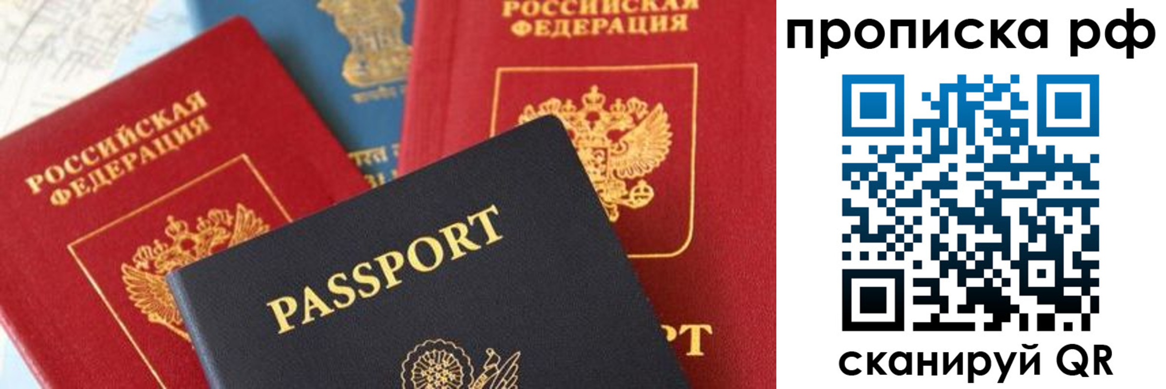 пропишу в квартире в Светлогорске
